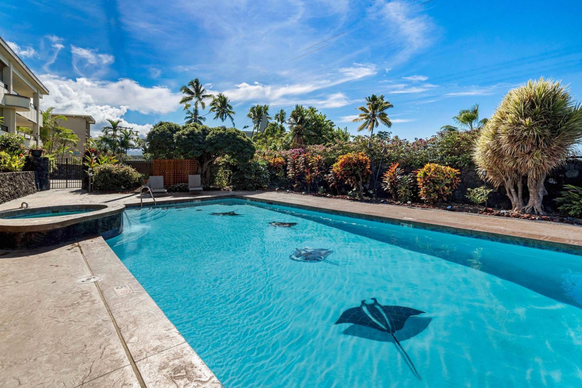 Direct Oceanview Paradise In A Luxury Condo 2B2B,Ac ไคลัวโคนา ภายนอก รูปภาพ